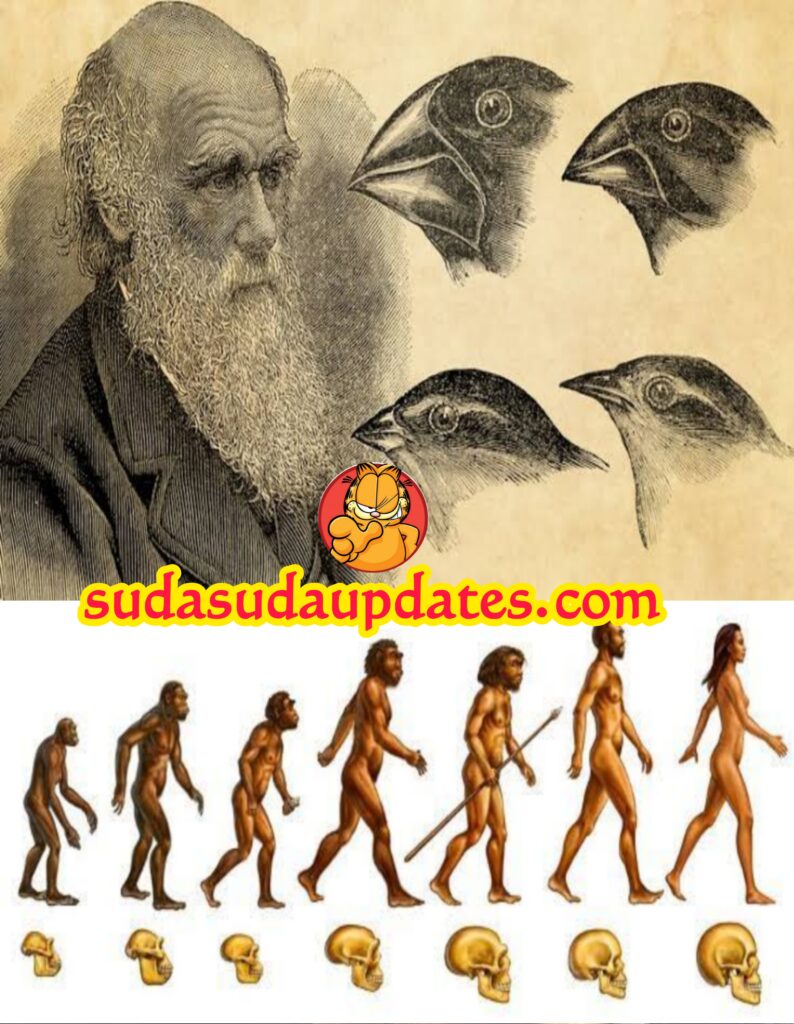 மனிதன் கண்டுபிடித்த உலகின் மிகப்பெரிய அறிவியல் சாதனைகள்